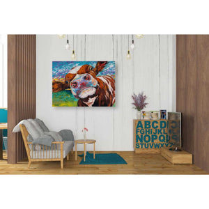 'Curious Cow I' by Carolee Vitaletti Giclee Canvas Wall Art