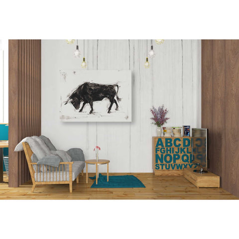 Image of 'Toro I' by Ethan Harper Canvas Wall Art,34 x 26
