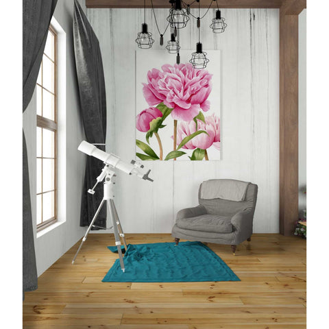 Image of 'Winsome Peonies II' by Grace Popp Canvas Wall Art,26 x 34