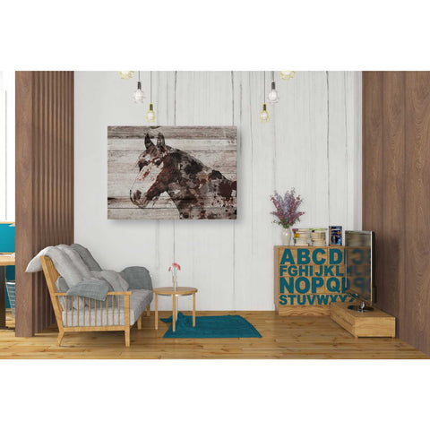 Image of 'Jalisco Horse' by Irena Orlov, Canvas Wall Art,34 x 26