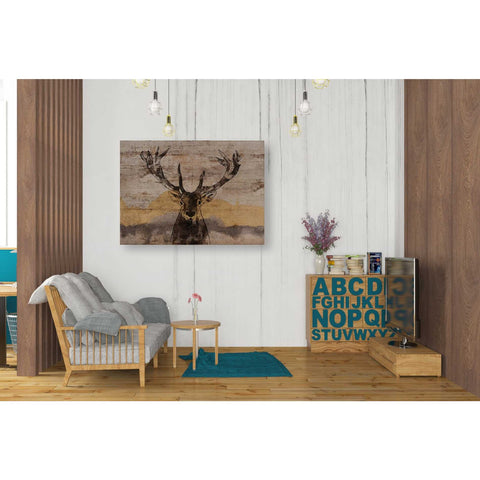 Image of 'White-Tailed Deer' by Irena Orlov, Canvas Wall Art,34 x 26