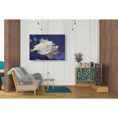 Image of 'White Peony-Scents of Heaven' by Irena Orlov, Canvas Wall Art,34 x 26