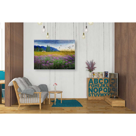 Image of 'Mesa Verde and Knapweed' by Chris Vest, Giclee Canvas Wall Art