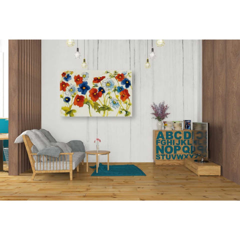 Image of 'Independent Blooms I' by Shirley Novak, Canvas Wall Art,40 x 26
