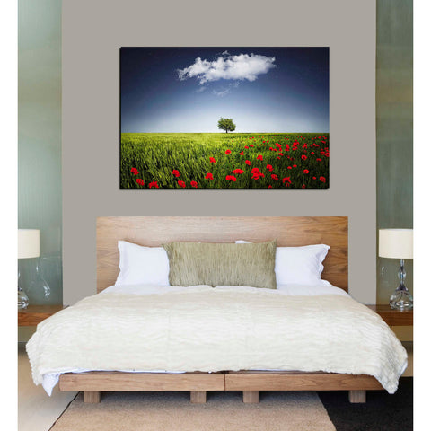 Image of 'Lone Tree in a Poppy Field' Canvas Wall Art,26 x 40