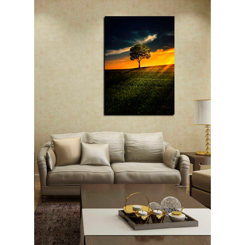 Image of 'Alone In Peace' Canvas Wall Art,26 x 40