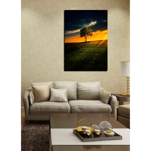 'Alone In Peace' Canvas Wall Art,26 x 40
