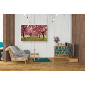 'Hall of Cherries' by Katherine Gendreau, Giclee Canvas Wall Art