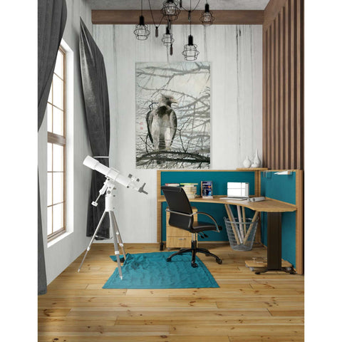 Image of 'Bird of Prey' by River Han, Giclee Canvas Wall Art