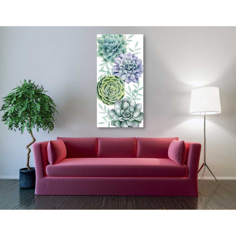 Image of 'Succulent Collection B' by Grace Popp Canvas Wall Art,30 x 60