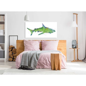 'Watercolor Shark II' by Linda Woods, Canvas Wall Art,60 x 30