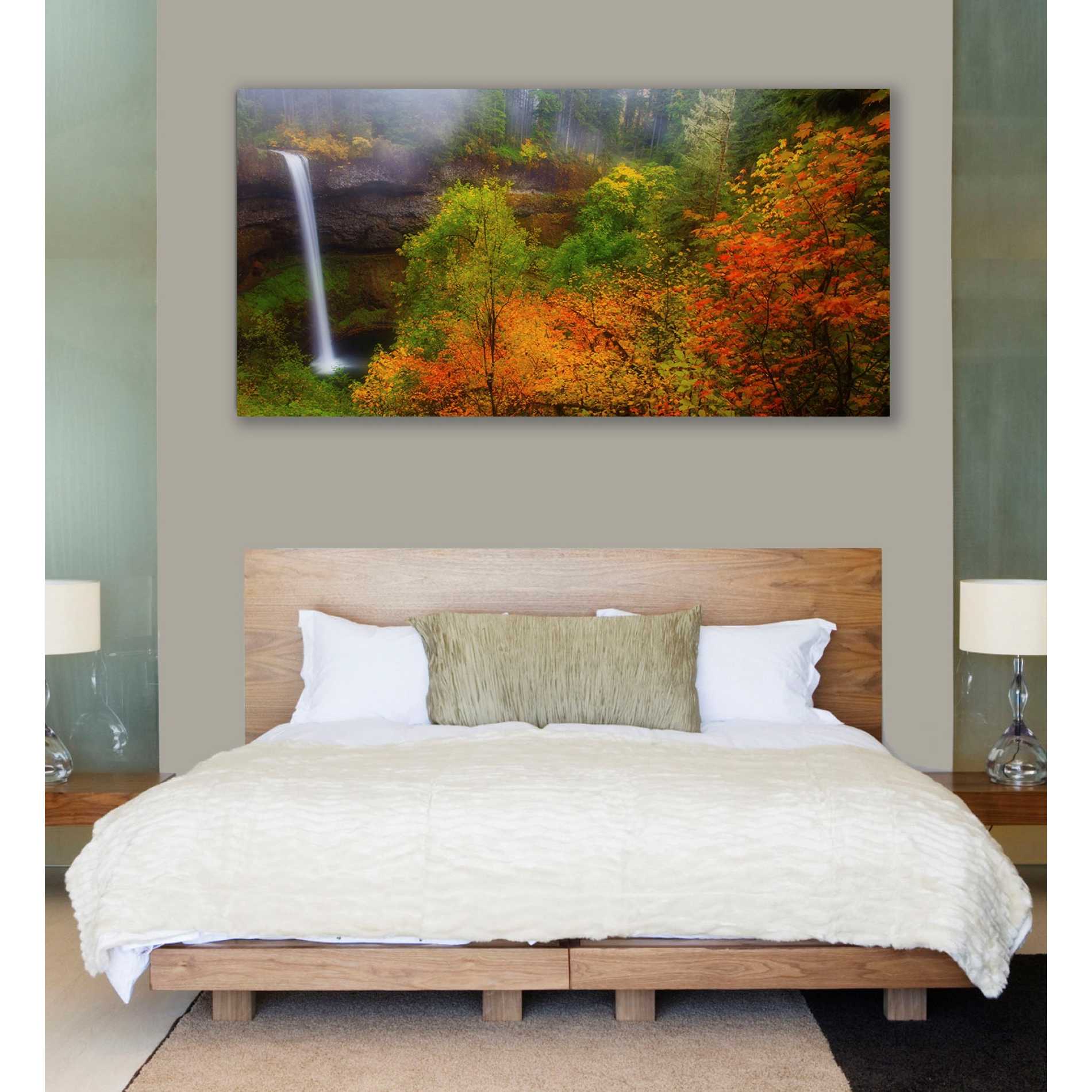 'Silver Falls' by Darren White, Canvas Wall Art,30 x 60