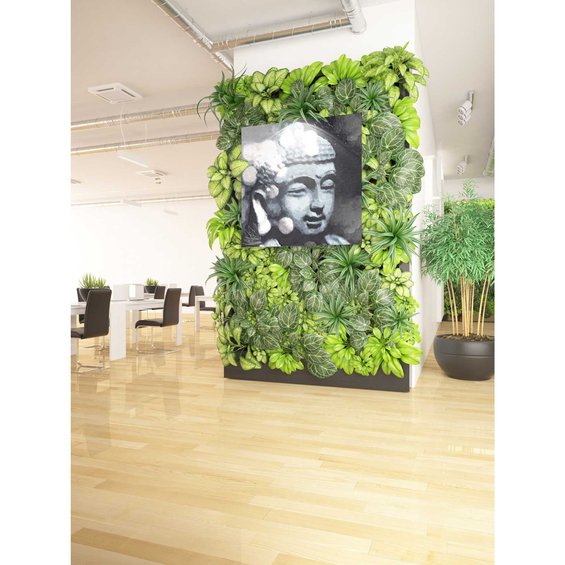 'Peaceful Buddha III' by Linda Woods, Canvas Wall Art,37 x 37