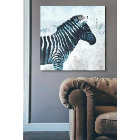 Image of 'Zebra' by Linda Woods, Canvas Wall Art,37 x 37