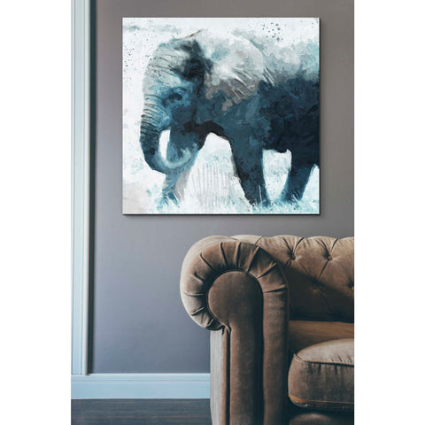 Image of 'Elephant' by Linda Woods, Canvas Wall Art,37 x 37