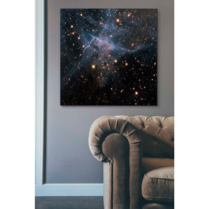 'Mystic Mountain Infrared' Hubble Space Telescope Canvas Wall Art,37 x 37