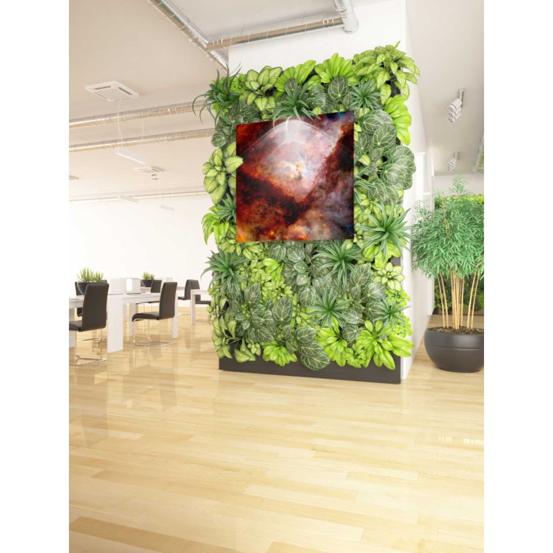 'Dark Nebulae' Hubble Space Telescope Canvas Wall Art,37 x 37