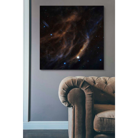 Image of 'Within Canis Majoris' Hubble Space Telescope Canvas Wall Art,37 x 37