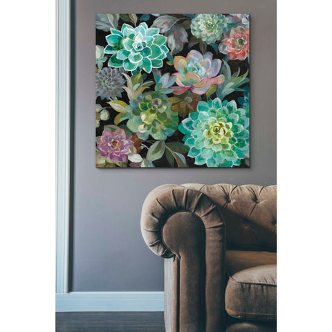 Image of 'Floral Succulents v2 Crop' by Danhui Nai, Canvas Wall Art,37 x 37