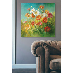 'Painted Daisies' by Danhui Nai, Canvas Wall Art,37 x 37