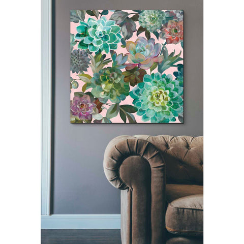 Image of 'Floral Succulents v2 Crop on Pink' by Danhui Nai, Canvas Wall Art,37 x 37