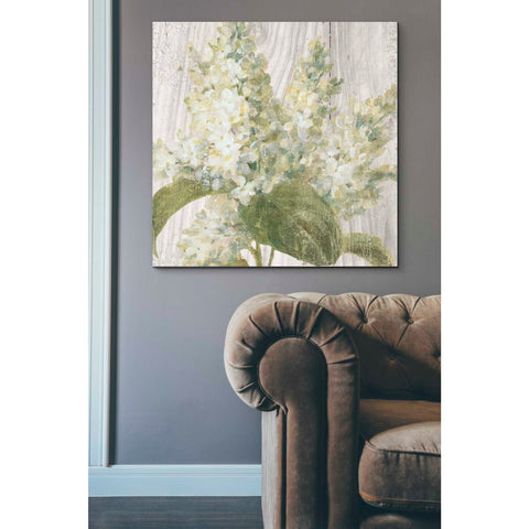 Image of 'Scented Cottage Florals II Crop' by Danhui Nai, Canvas Wall Art,37 x 37