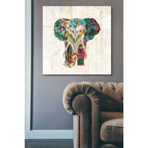 'Boho Paisley Elephant III' by Danhui Nai, Canvas Wall Art,37 x 37