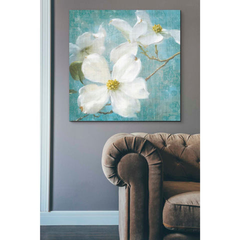 Image of 'Indiness Blossom Square Vintage I' by Danhui Nai, Canvas Wall Art,37 x 37