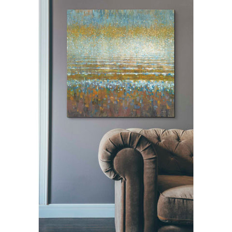 Image of 'Rains Over the Lake Light' by Danhui Nai, Canvas Wall Art,37 x 37
