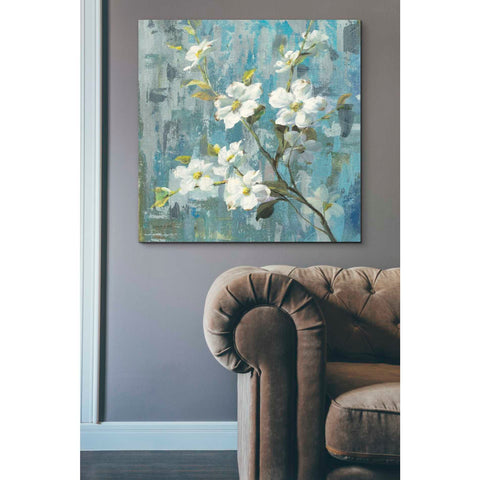 Image of 'Graceful Magnolia II' by Danhui Nai, Canvas Wall Art,37 x 37
