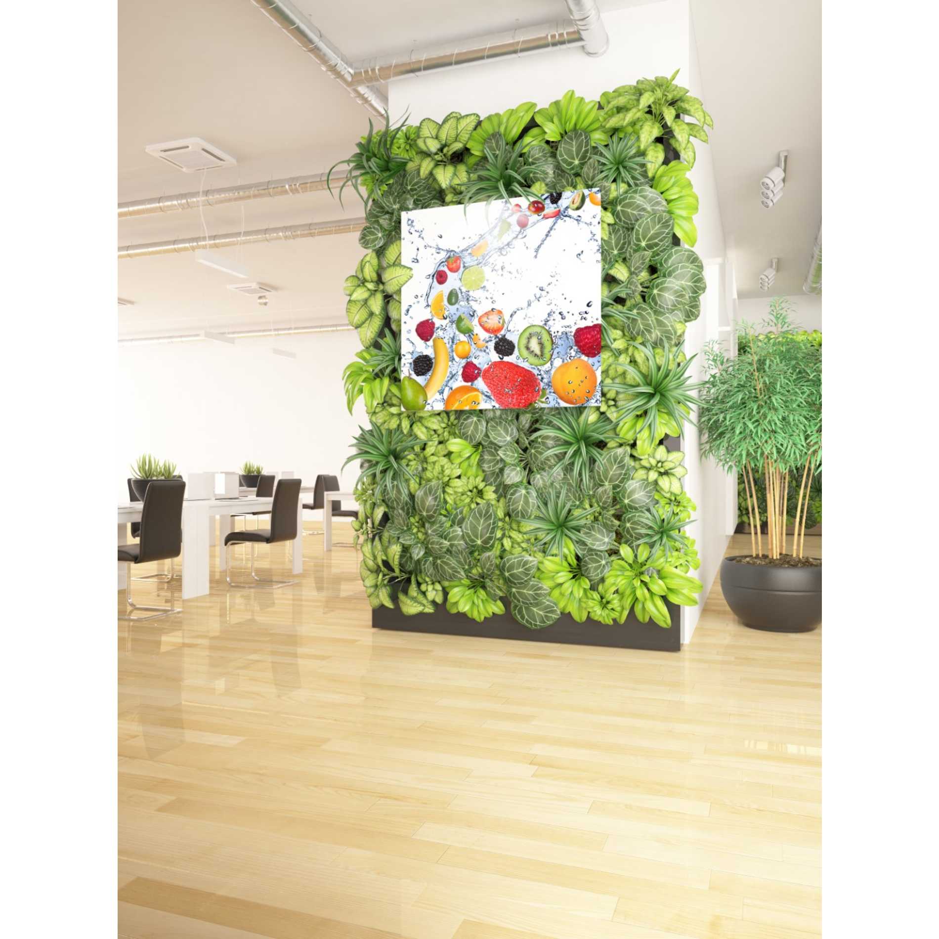 'Fruit Splash II' Canvas Wall Art,37 x 37