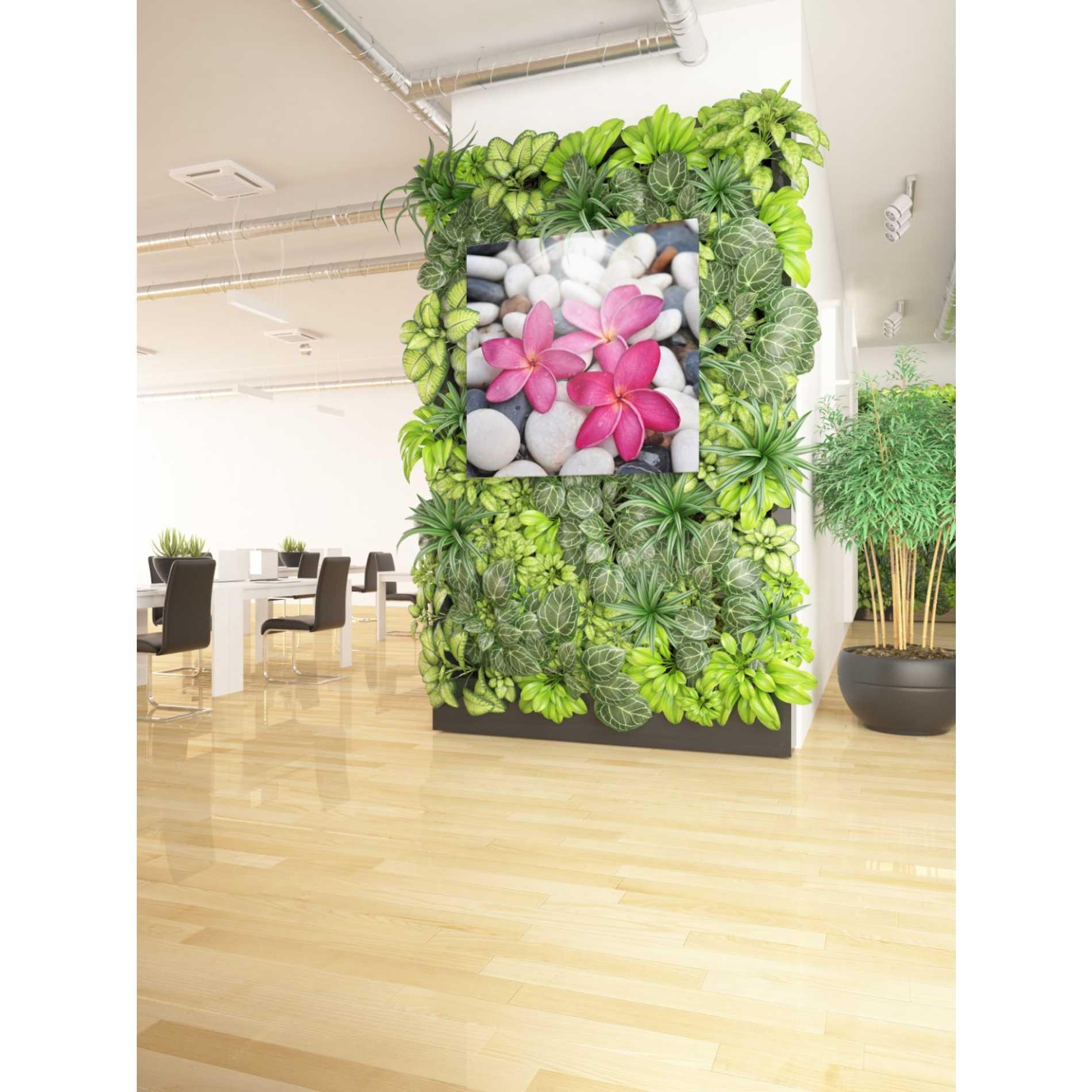 'Shintai II' Canvas Wall Art,37 x 37