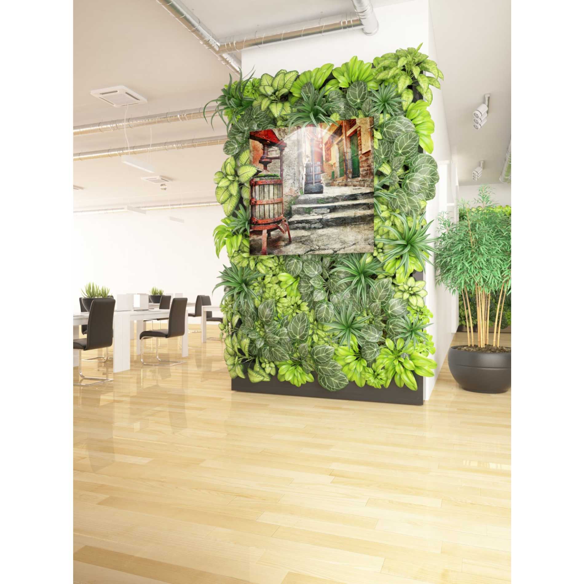 'Ciao Bella II' Canvas Wall Art,37 x 37