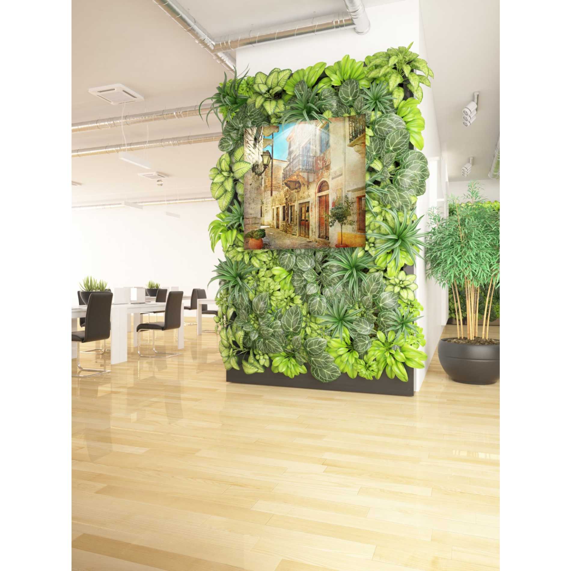 'Ciao Bella III' Canvas Wall Art,37 x 37