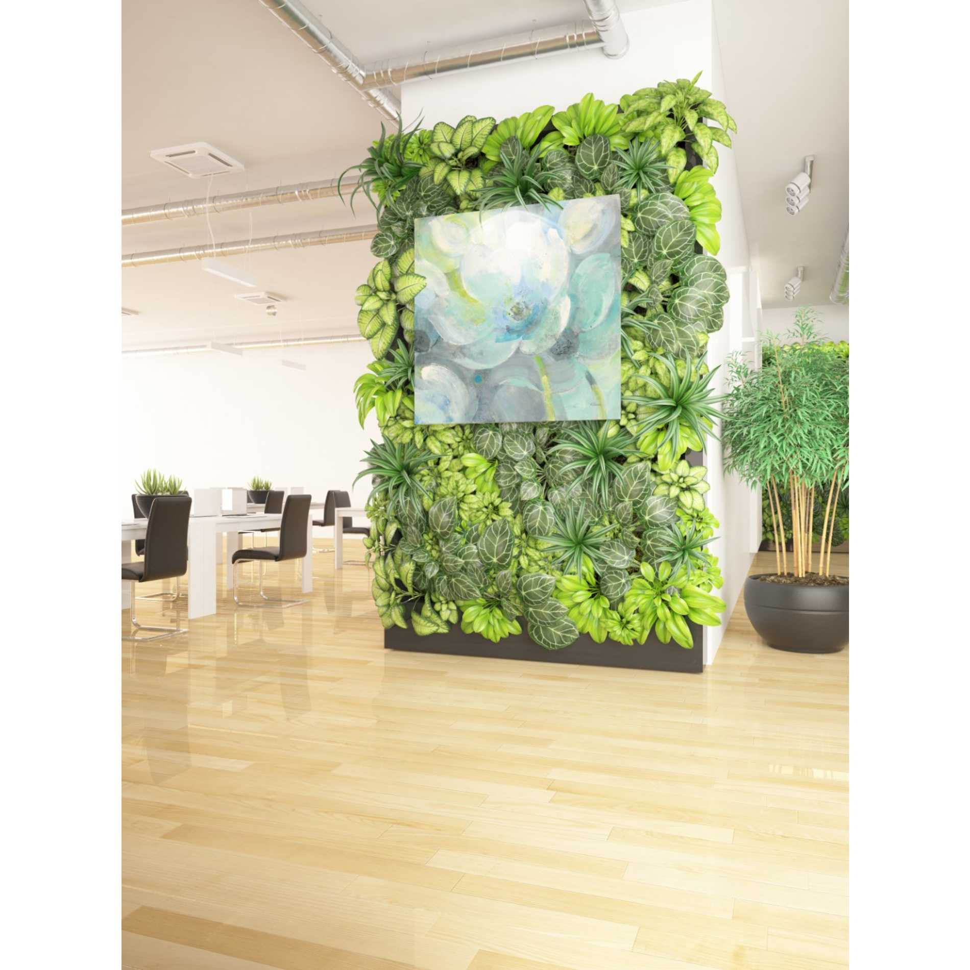 'Sunny Bloom' by Albena Hristova, Canvas Wall Art,37 x 37