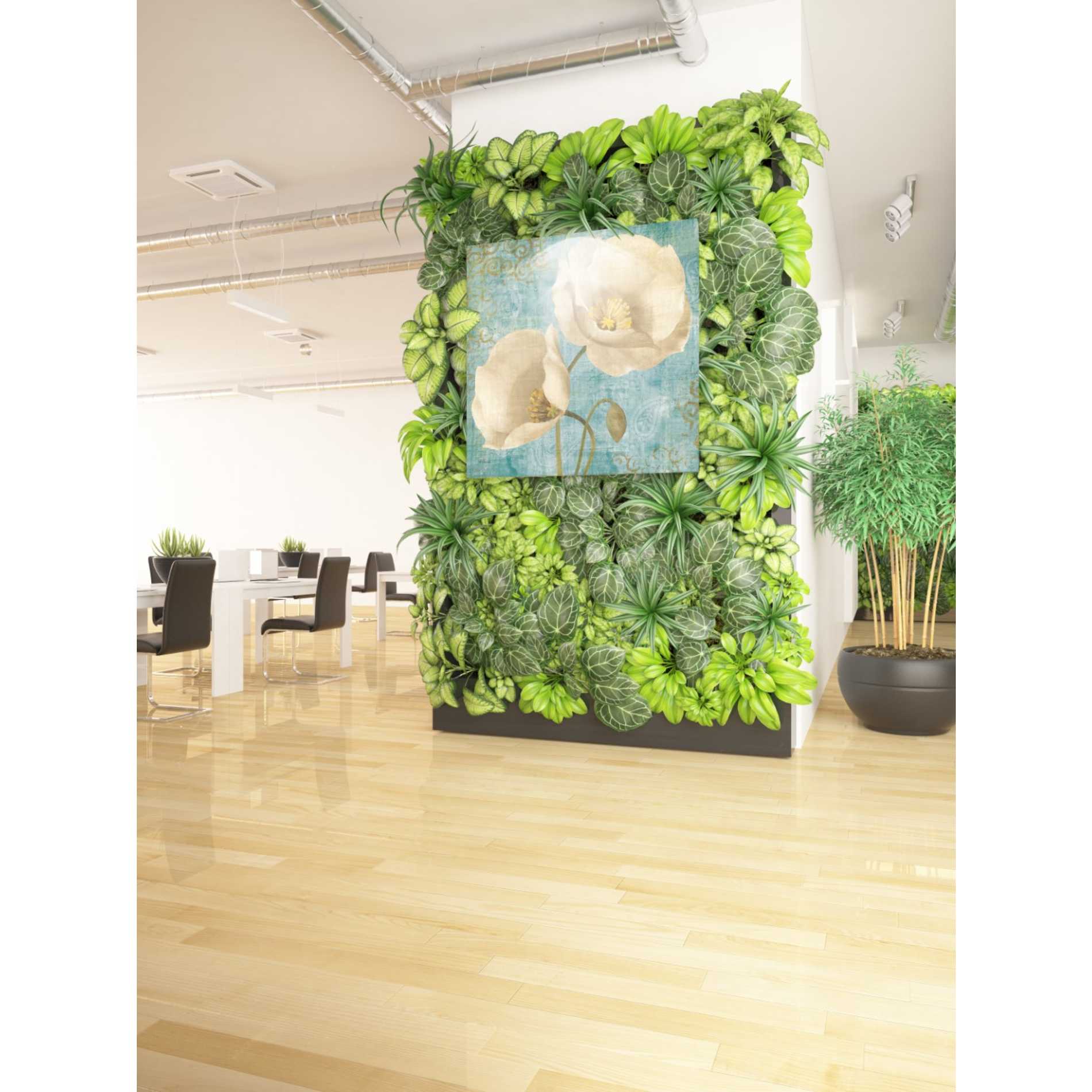 'Rich Poppies on Paisley' by Albena Hristova, Canvas Wall Art,37 x 37