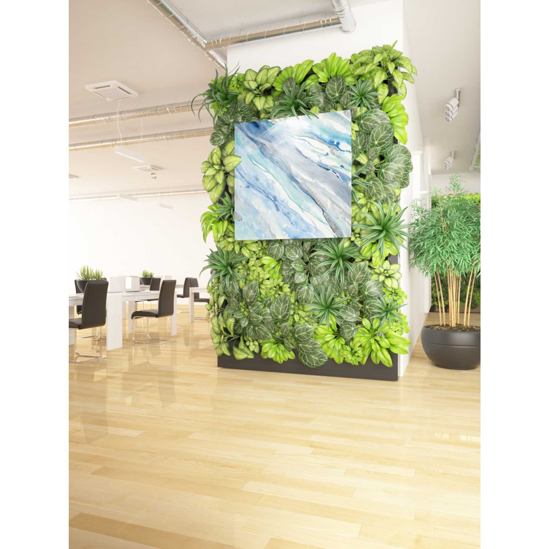 'Silver Spring II' by Albena Hristova, Canvas Wall Art,37 x 37