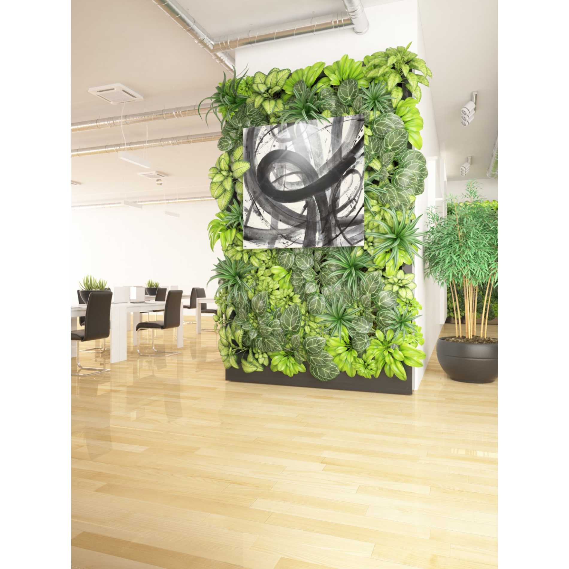 'Roller Coaster I on White' by Albena Hristova, Canvas Wall Art,37 x 37