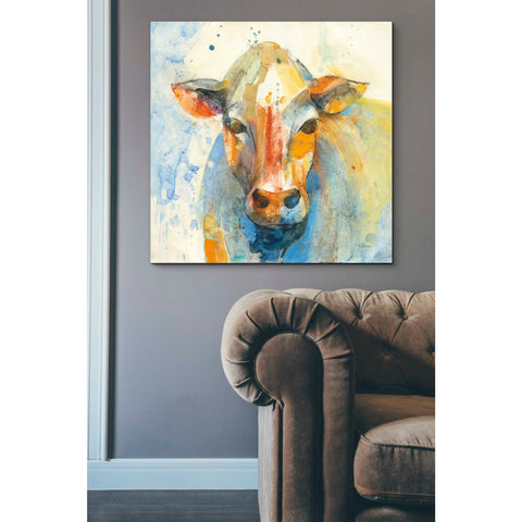 Image of 'Happy Cows II' by Albena Hristova, Canvas Wall Art,37 x 37