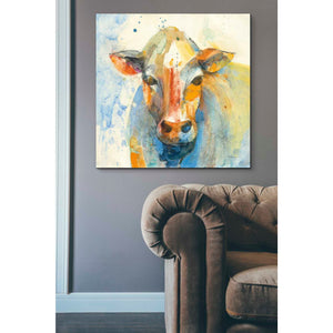 'Happy Cows II' by Albena Hristova, Canvas Wall Art,37 x 37
