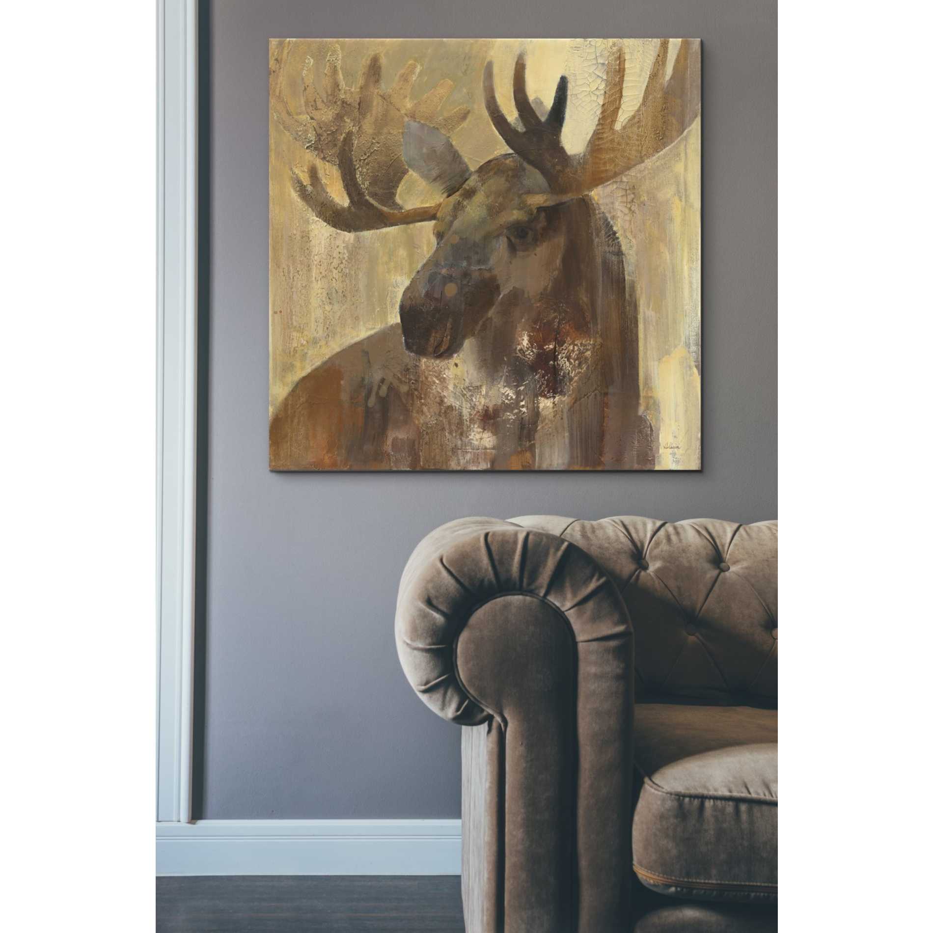 'Into the Wild II' by Albena Hristova, Canvas Wall Art,37 x 37