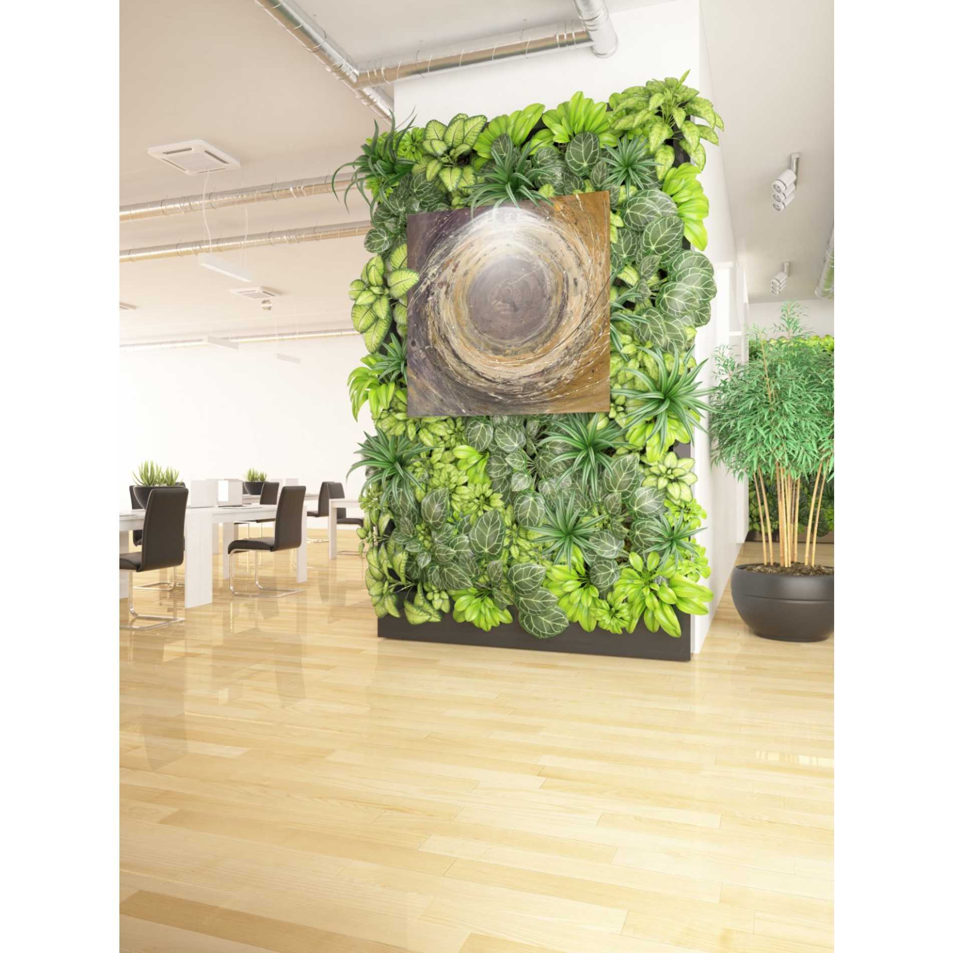 'Wooden Rings' by Albena Hristova, Canvas Wall Art,37 x 37