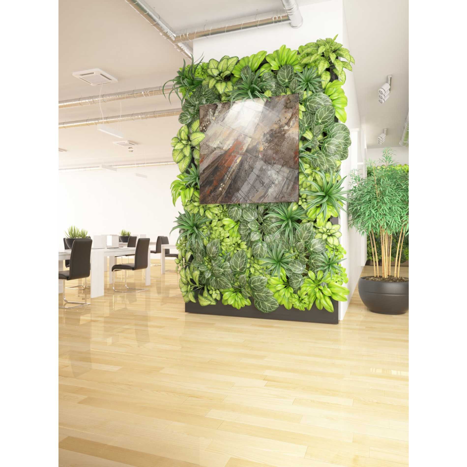 'Fire and Ice' by Albena Hristova, Canvas Wall Art,37 x 37