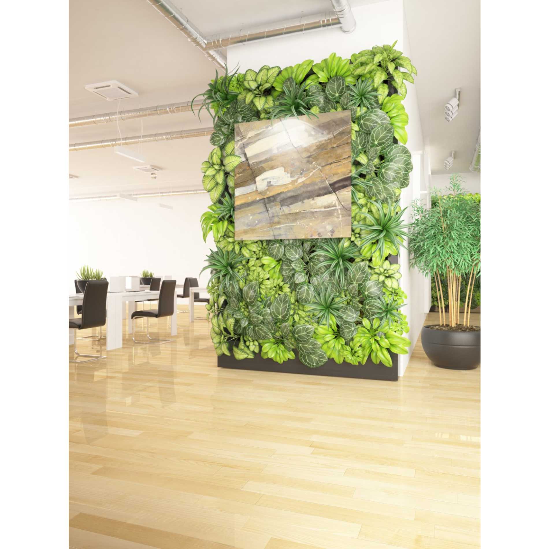 'Gold Streak' by Albena Hristova, Canvas Wall Art,37 x 37