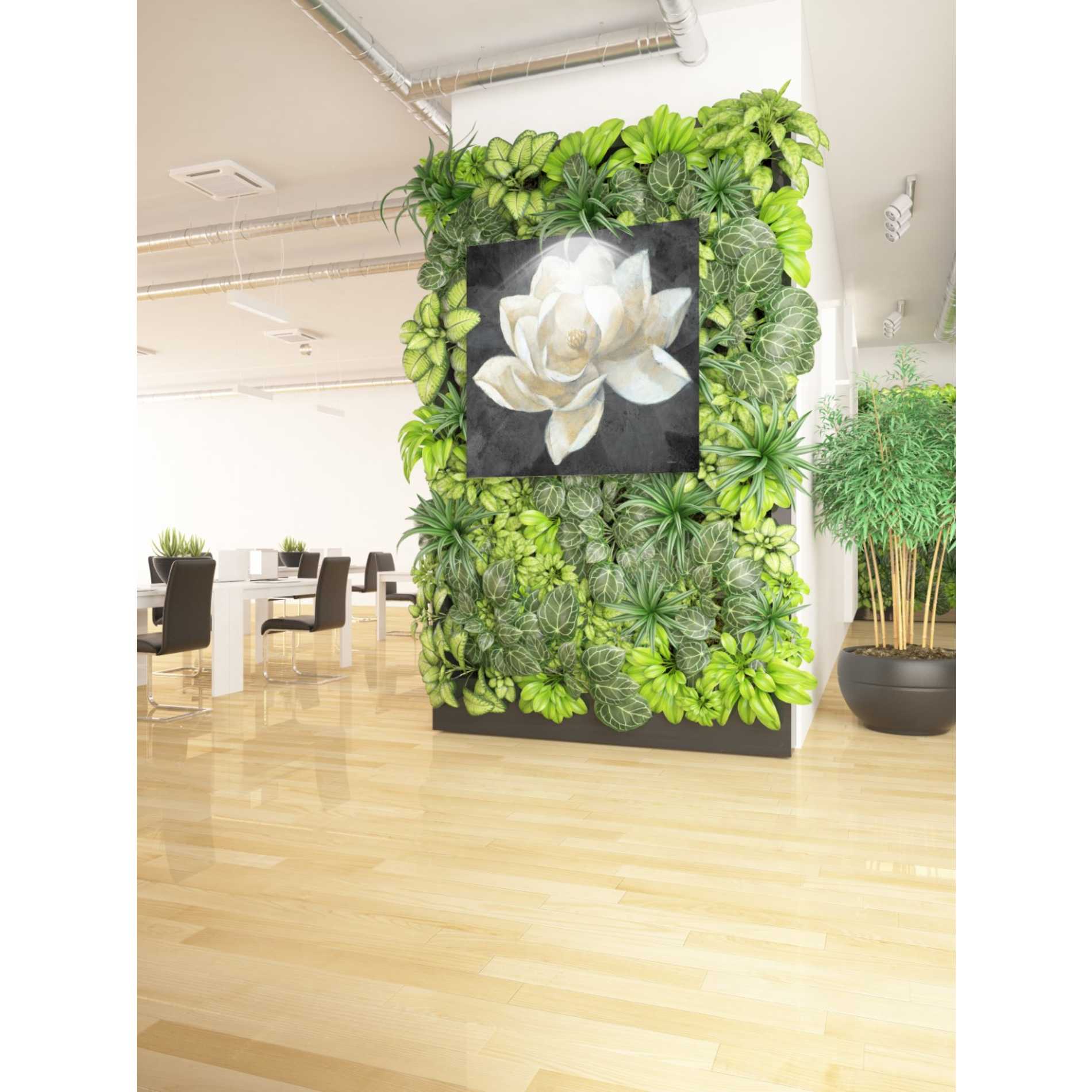 'Majestic Magnolia Neutral Sq' by Albena Hristova, Canvas Wall Art,37 x 37