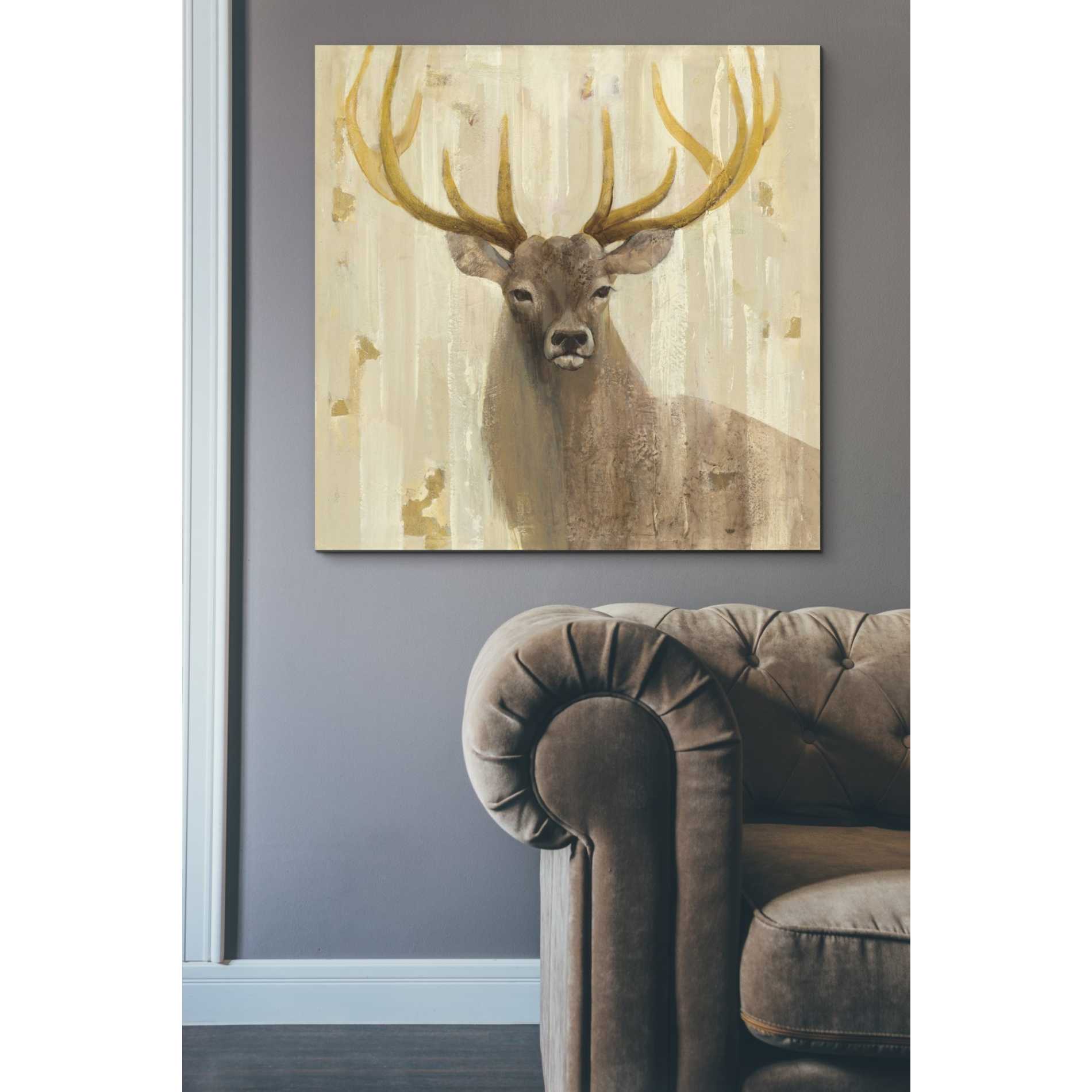 'Forest King' by Albena Hristova, Canvas Wall Art,37 x 37