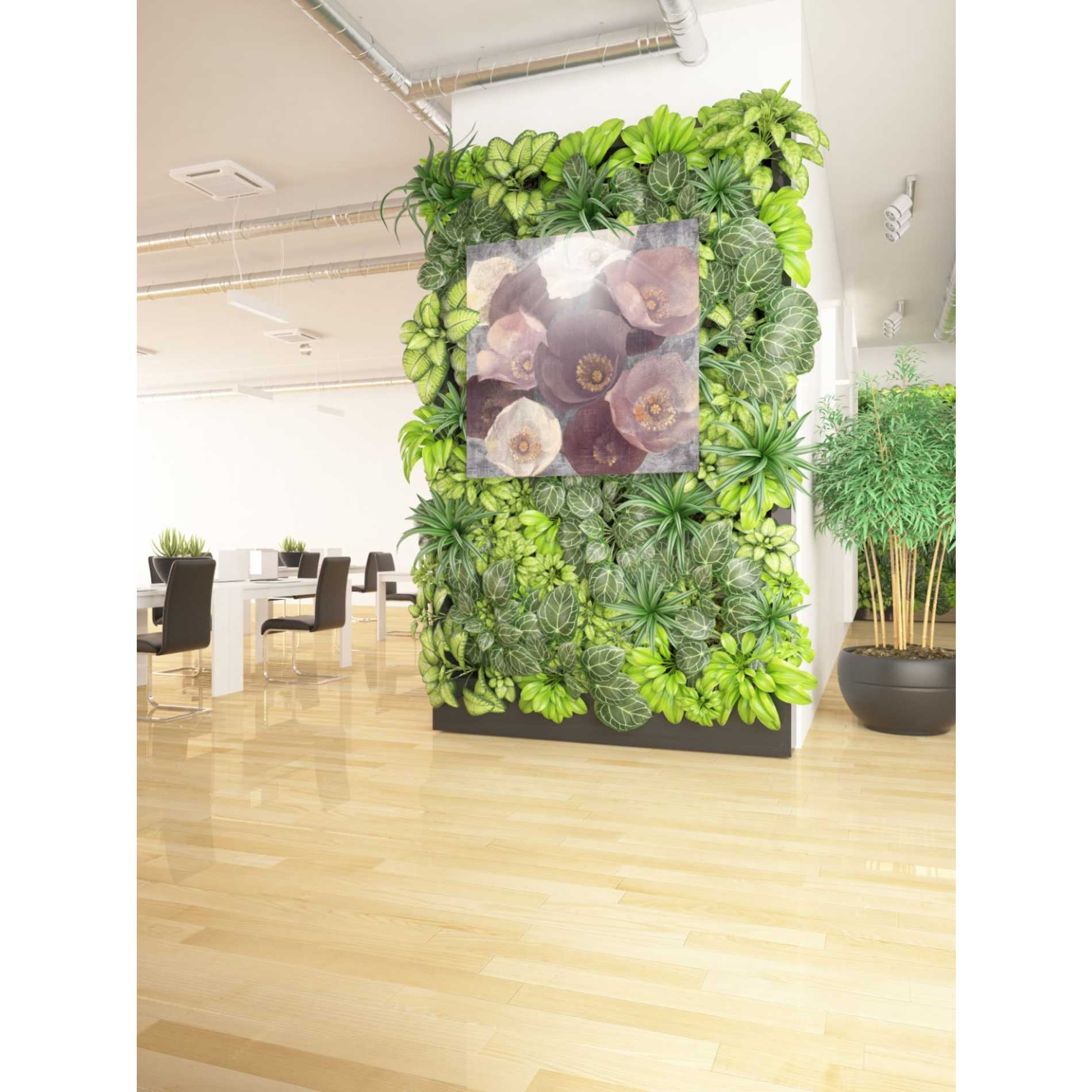 'Eventide Plum' by Albena Hristova, Canvas Wall Art,37 x 37