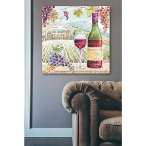 'Wine Country IV' by Daphne Brissonet, Canvas Wall Art,37 x 37