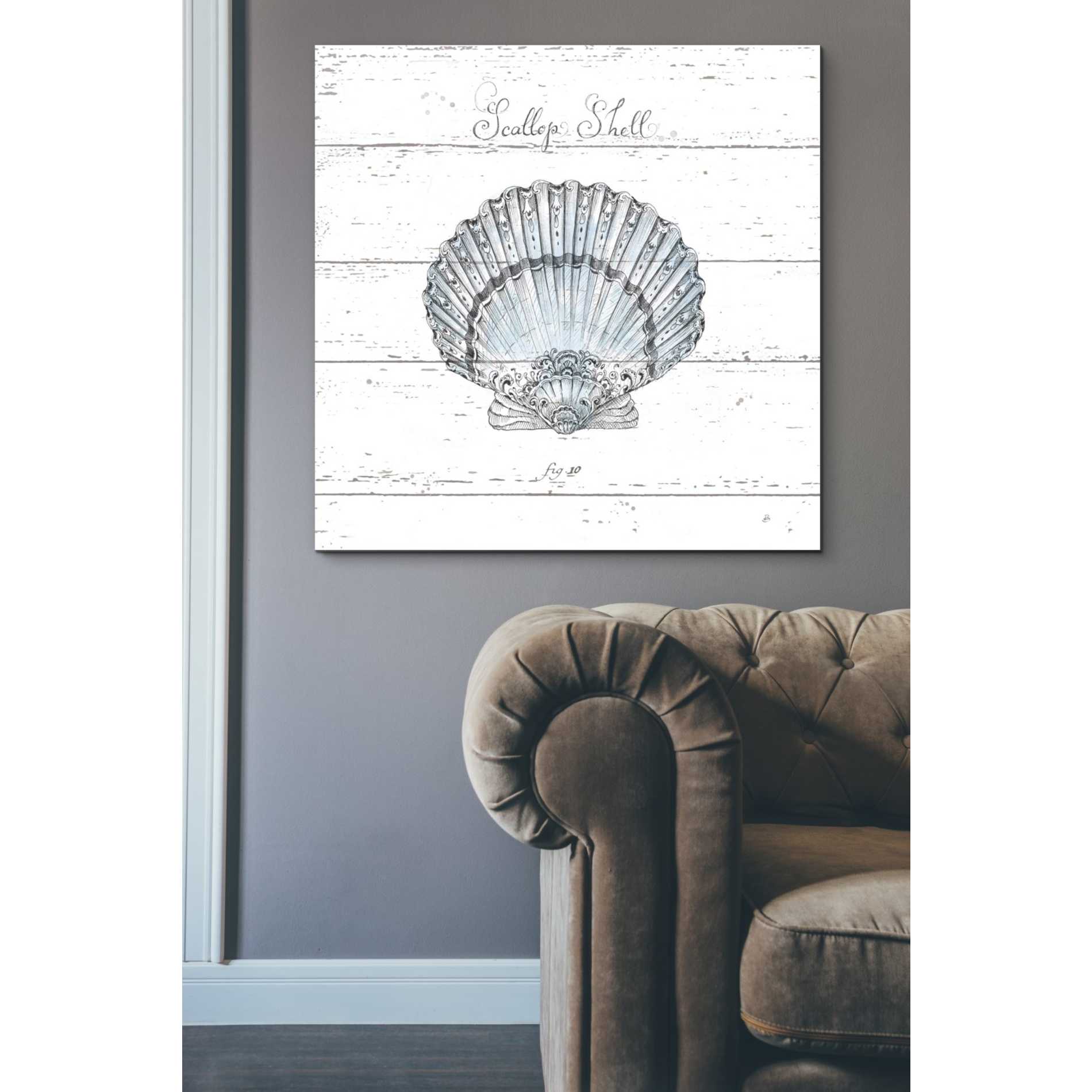 'Aqua Underwater Life VIII Shiplap' by Daphne Brissonet, Canvas Wall Art,37 x 37