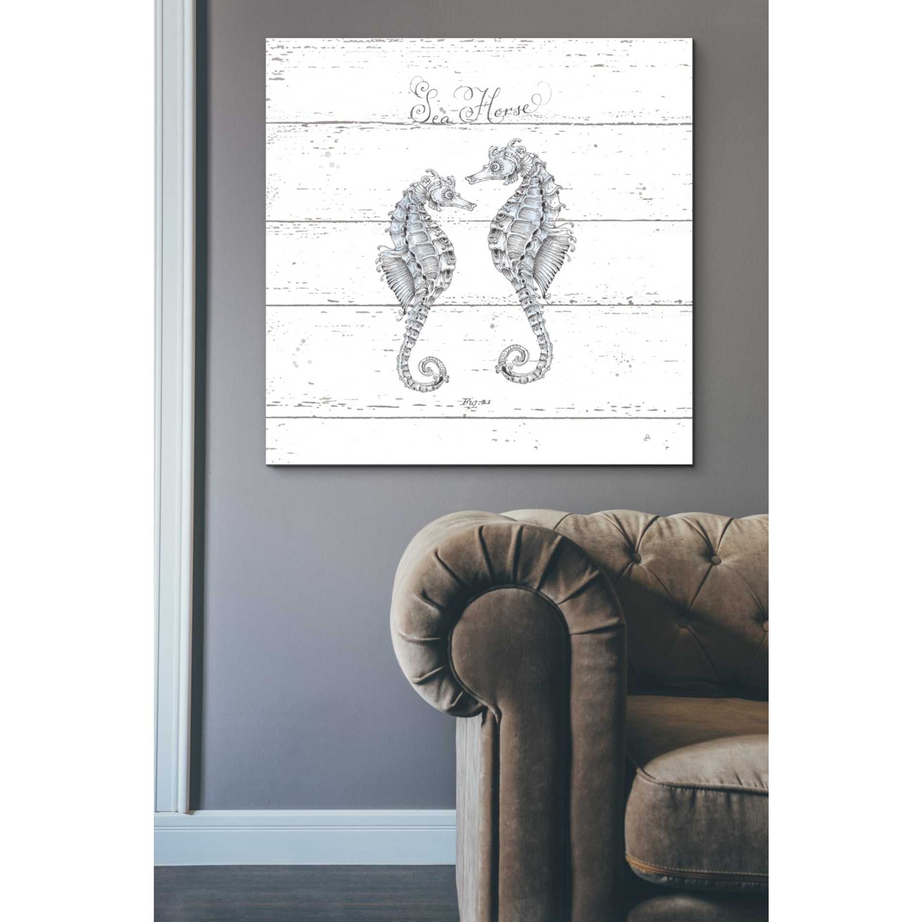 'Aqua Underwater Life V Shiplap' by Daphne Brissonet, Canvas Wall Art,37 x 37